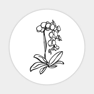 Line art Orchid Magnet